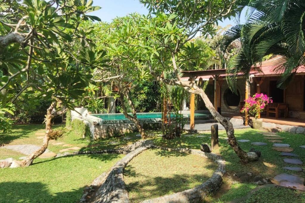Kura Kura House